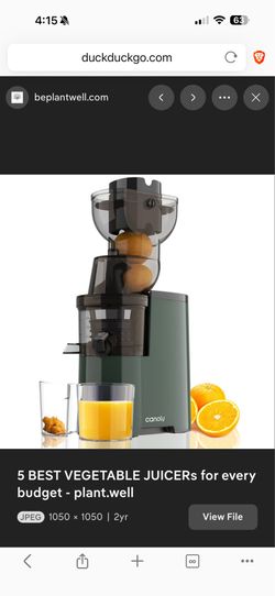 Juicer Cold Press Masticator
