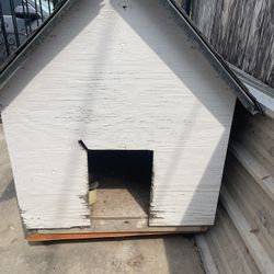 Dog House