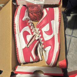 Nike Dunk Low Archeo Pink 2021 Size 7 woman’s