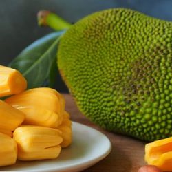 J31 Jackfruit  Grafted 3gal 