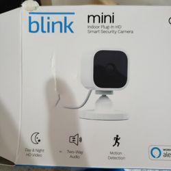 2 Mini Blink H D Security Cameras