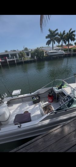 Mini Season Lobster Hualover Eastern Shores South Florida 