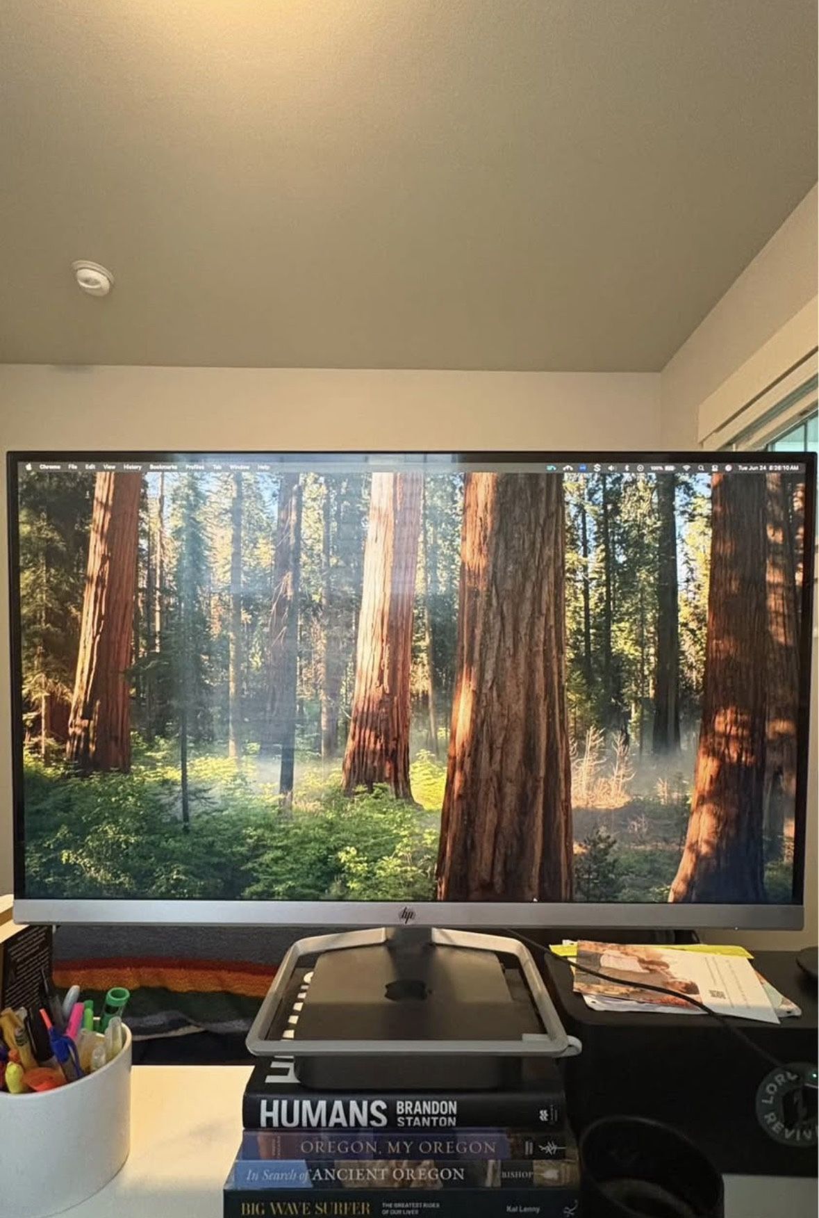 Computer Monitor