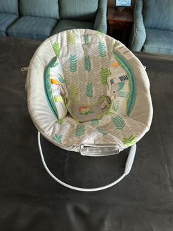 Baby Bouncer