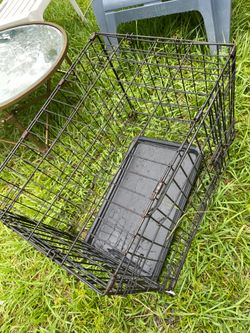13 item Pet carrier lot