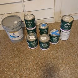Benjamin Moore Paint 8 Cans