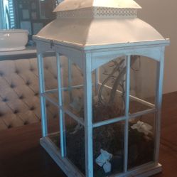 Indoor/ Outdoor Decorative Greenhouse With Table