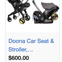 DOONA (GREYHOUND)