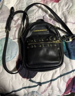 Steve Madden side purse