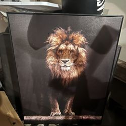 Lion Portrait 
