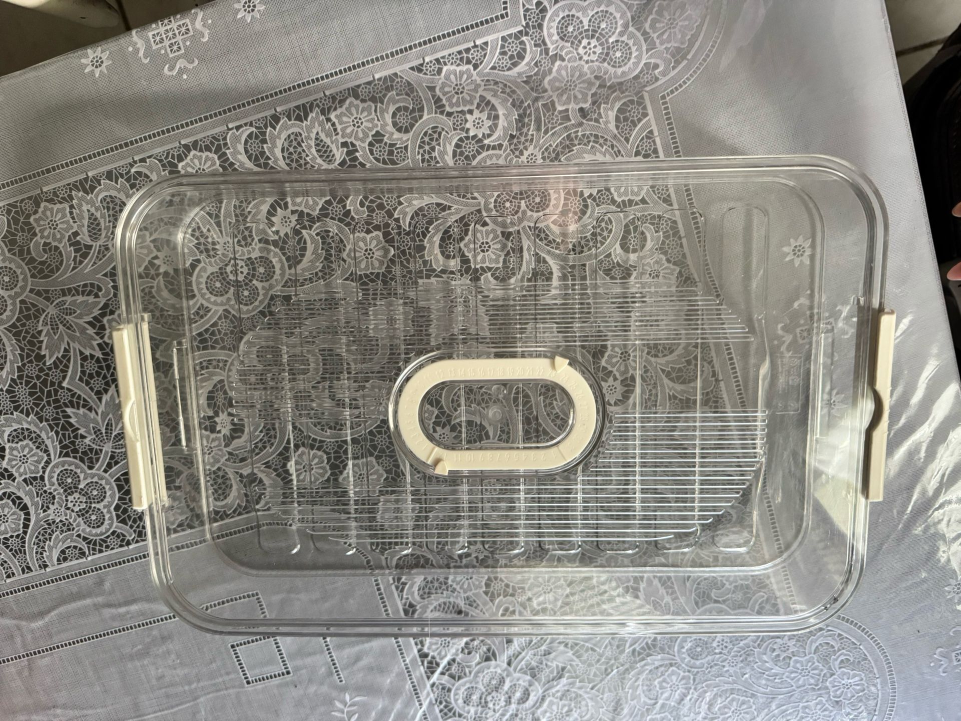 Container