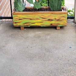 Planter With Cactus