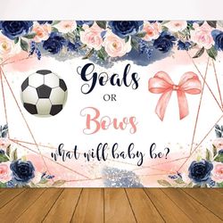 Gender Reveal Backdrop