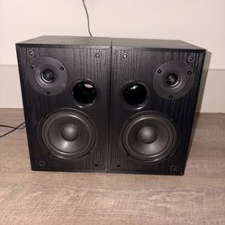 5” Bluetooth Speakers 
