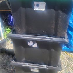 3 totes 