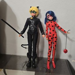 Miraculous Ladybug and Cat Noir