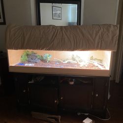 Monitor Tank