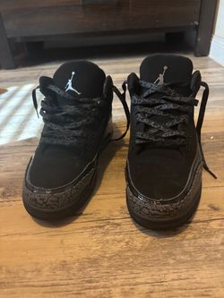 Jordan 3 cats