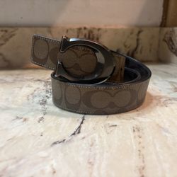 Two Colored Coach Belt