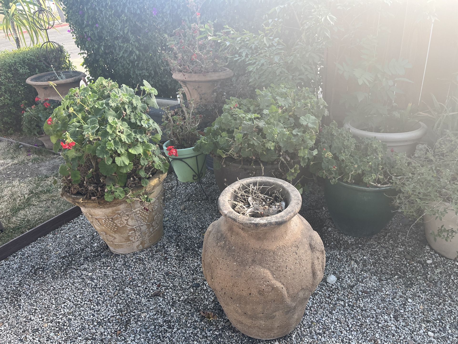 Pots For Plants