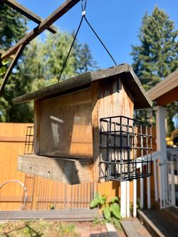 Bird & Squirrel Feeder