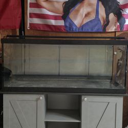 75 Gallon Aquarium