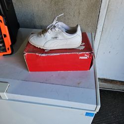 puma shoe