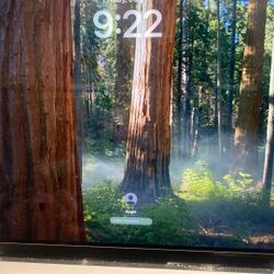 MacBook M1 Pro 32gb 