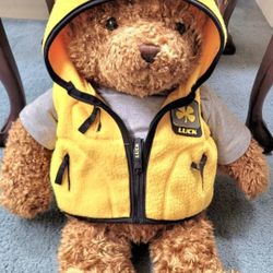 New HUGE 25” What's Your Wish Teddy Bear With Pockets 

