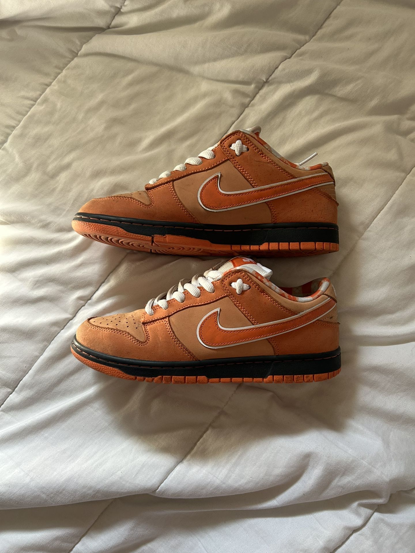 Lobster Dunks SB