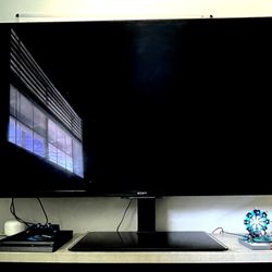 65 Inch Sony TV