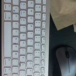 Wireless Keyboard/Mouse