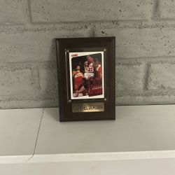 Micheal Jordan hang up