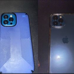 iPhone 12 Pro Max Cases 