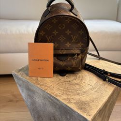 Authentic Louis Vuitton Monogram Palm Springs Mini Backpack – Used, Good Condition