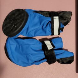 Dog Boots