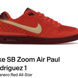 Nike SB Zoom Air Paul Rodrigez 1