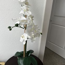Artificial Orchid Plant With silver Base And Round End Table