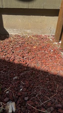 FREE Lava Rock - you pick up ASAP