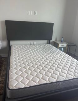 Queen Mattress, Bed Frame, & Bunkie Board