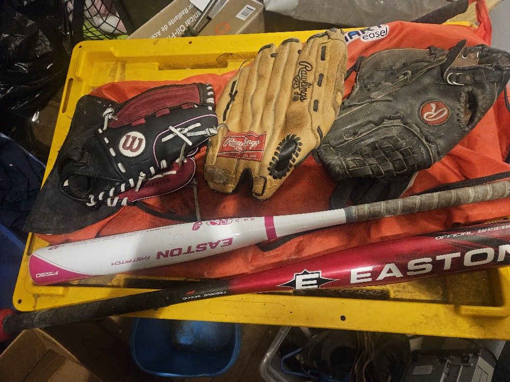 2 Baseball Bats 3 Gloves