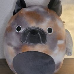 Squishmallows 8” Ballis the French Bulldog.  Mutlicolor Tie Dye NWT