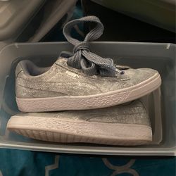 Silver Pumas