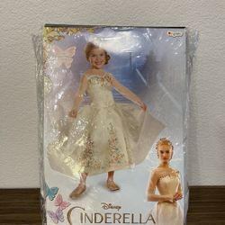 PRINCESS DRESS/ CINDERELLA 