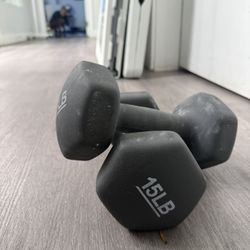 Neoprene Dumbbell Hand Weights 15lb Pair