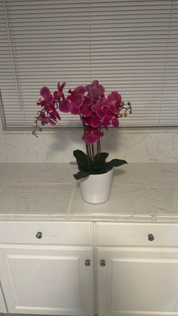 Fake Orchid Plant 23" Tall