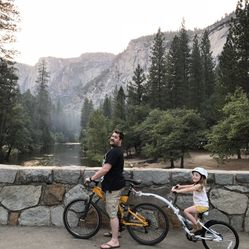 WeeRide Copilot Pedal Bike Trailer Attachment 