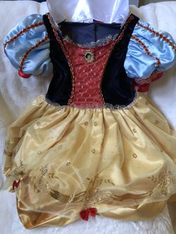 Disney’s Sleeping Beauty Costume