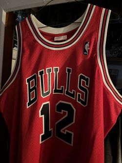 Michael Jordan Rare Jersey
