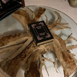 Drift Wood Coffee Table